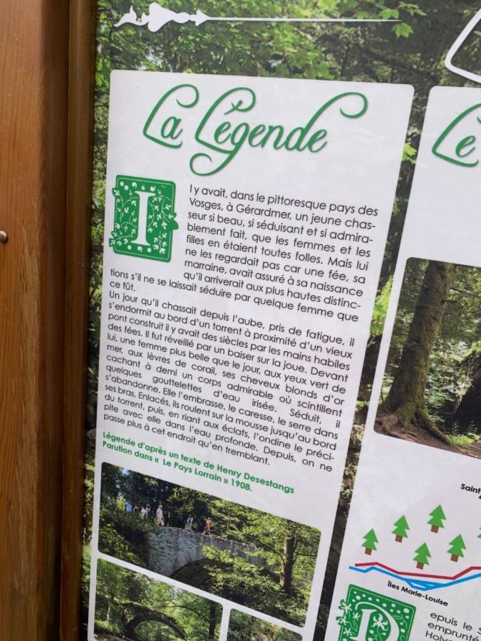 Charmant Appartement A Gerardmer Luaran gambar